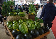 Are they real, this melons? Yes, a visitor checked it by touching.